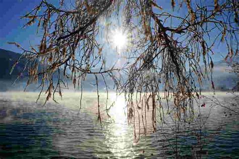 ficken am see|Schöne Brünette wird am See Gevögelt